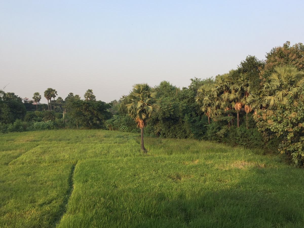 Sachi Home Bodh Gaya Exterior foto